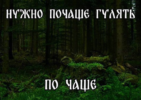 НУЖНО ПОЧАШЕ ГУАЯТЬ По ЧАШЕ