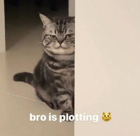 2 9.5