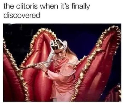 the clitoris when it’s finally discovered