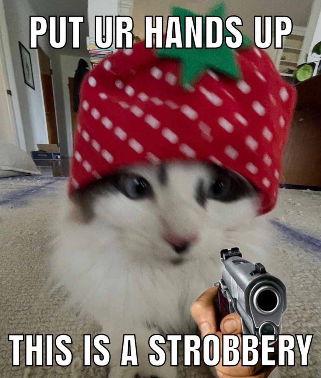 PUT HANDS UP THIS IS A STROBBERY