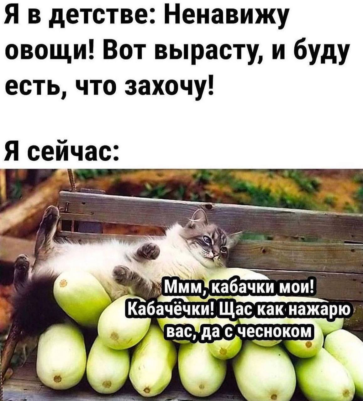 Я в детстве: Ненавижу овощи! Вот вырасту, и буду есть, что захочу! Я сейчас: мои! Щас С чесноком