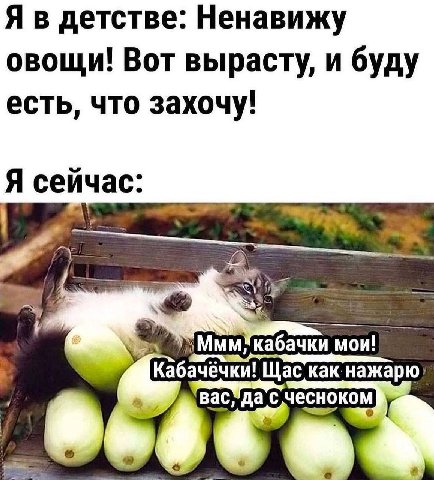 Я в детстве: Ненавижу овощи! Вот вырасту, и буду есть, что захочу! Я сейчас: мои! Щас С чесноком