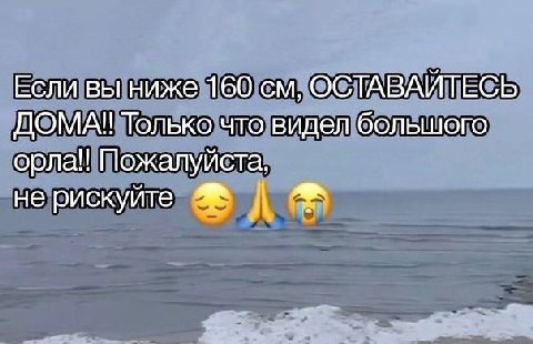 Если вы ниже 160 ОСТАВАЙТЕСЬ ДОМА!! Только что видел большого Пожалуйста, не рискуйте