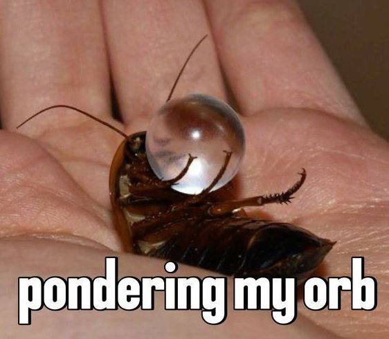pondering my orb