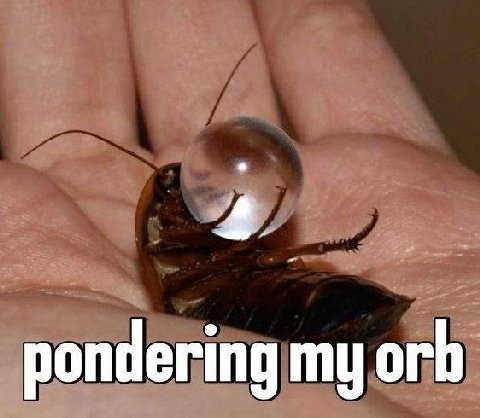 pondering my orb