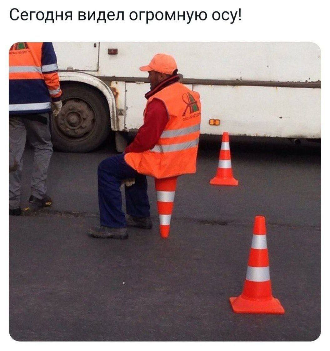 Сегодня видел огромную осу!