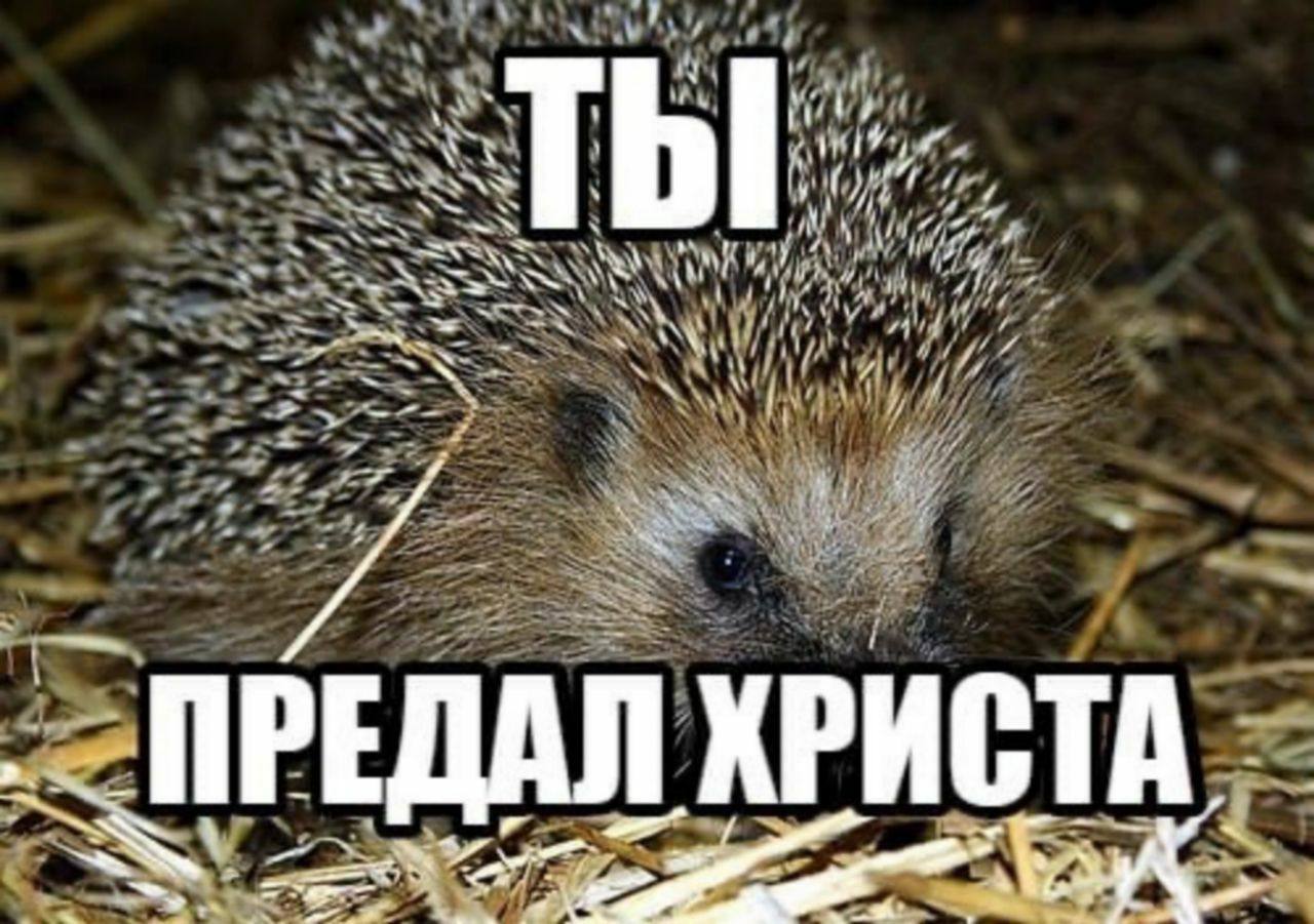 at я ИСТА РЕДАЛ