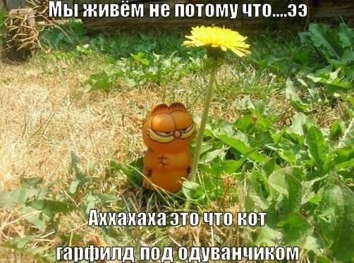 и 4 ЖИВЕМ HE потому ЧТО....33 4 4) ахахаэт У ванчик