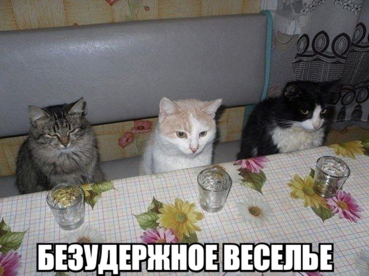 БЕЗУДЕРЖНОЕ ВЕСЕЛЬЕ