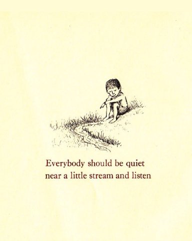 Everybody should be quiet near a little stream and listen