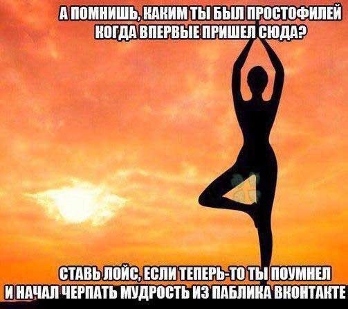 А ПОМНИШЬ, КАКИМ ТЫ БЫЛ ПРОСТОФИЛЕЙ КОГДА ВПЕРВЫЕ ПРИШЕЯ СЮДА? СТАВЬ ЛОЙС, ЕСЛИ ТЕПЕРЬ-ТО ТЫ] ПОУМНЕЛ ИНАЧАЛ МУДРОСТЬ ИЗ ПАБЛИНА ВНОНТАНТЕ