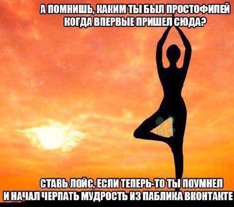 А ПОМНИШЬ, КАКИМ ТЫ БЫЛ ПРОСТОФИЛЕЙ КОГДА ВПЕРВЫЕ ПРИШЕЯ СЮДА? СТАВЬ ЛОЙС, ЕСЛИ ТЕПЕРЬ-ТО ТЫ] ПОУМНЕЛ ИНАЧАЛ МУДРОСТЬ ИЗ ПАБЛИНА ВНОНТАНТЕ
