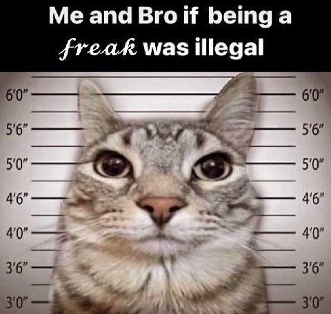 Me and Bro if being a freak was illegal