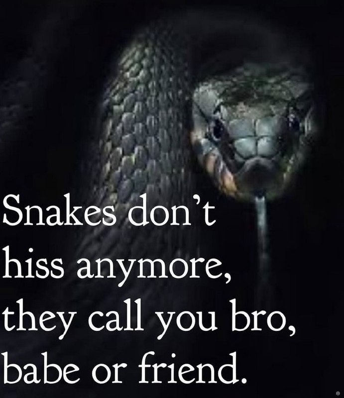 опакез hiss anymore, they call you bro, babe or friend.