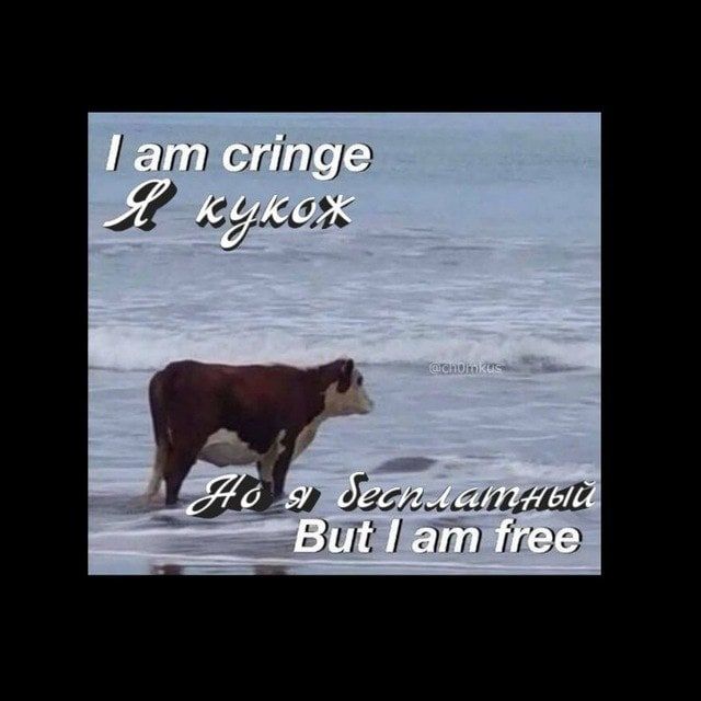 Гат cringe „Я KYKOX я десилетный free