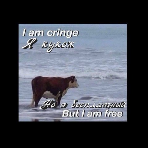Гат cringe „Я KYKOX я десилетный free