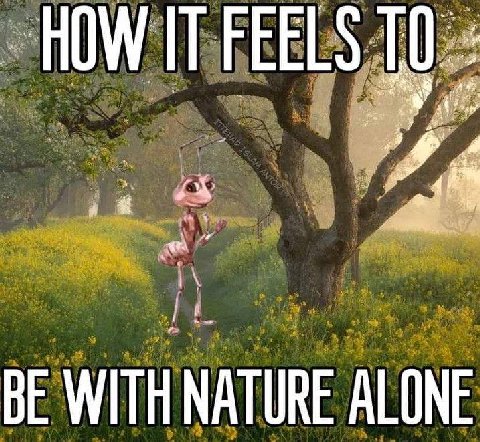НОМП FEELS BE WITH NATURE ALONE