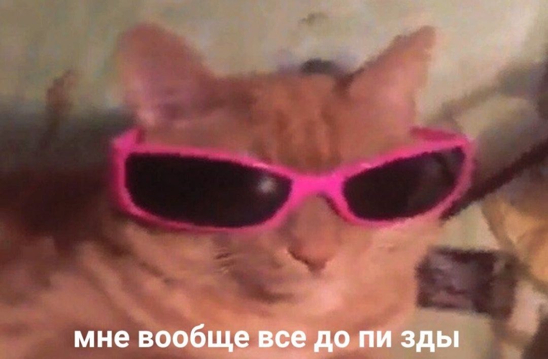 мне вообще всё до зды