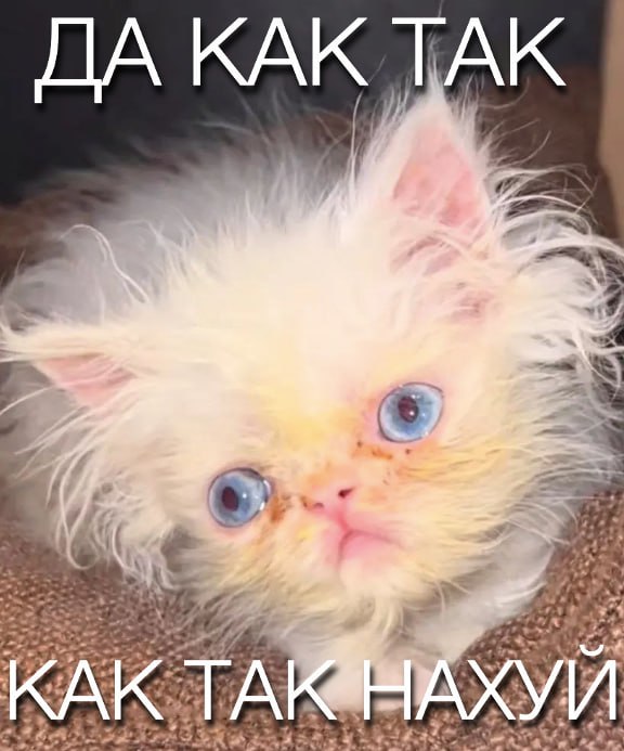 I Я к я а i’ A tin 7 у А AN ral 4 а у №1 As