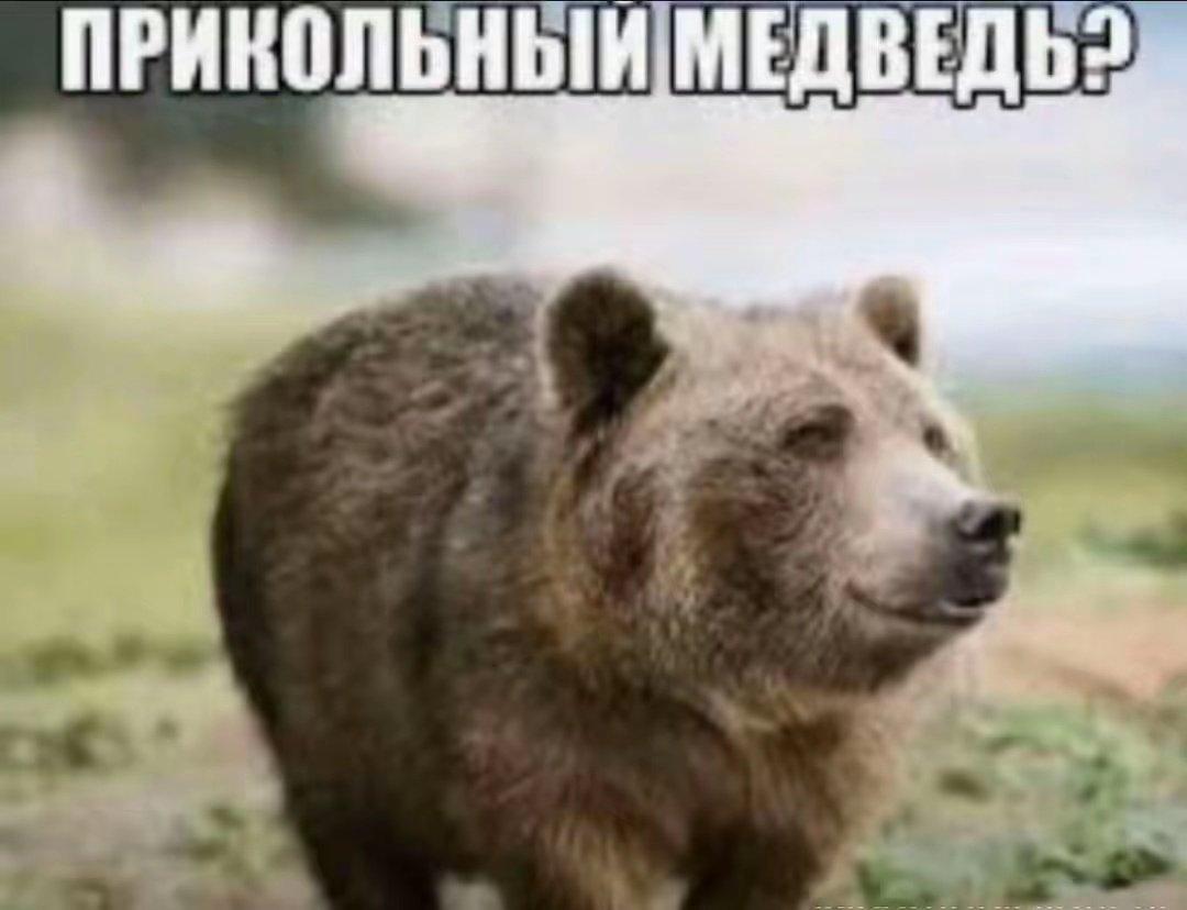 ПРИКОЛЬНЫЙ