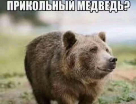 ПРИКОЛЬНЫЙ