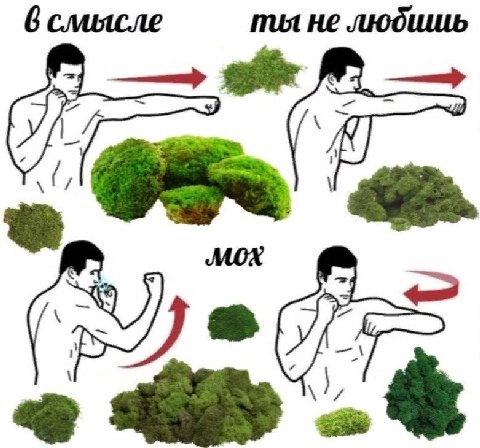 6 смысле He любишь