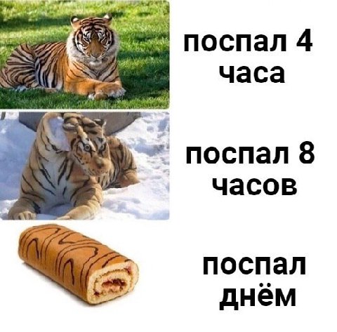 поспал 4 часа поспал 8 часов поспал днём