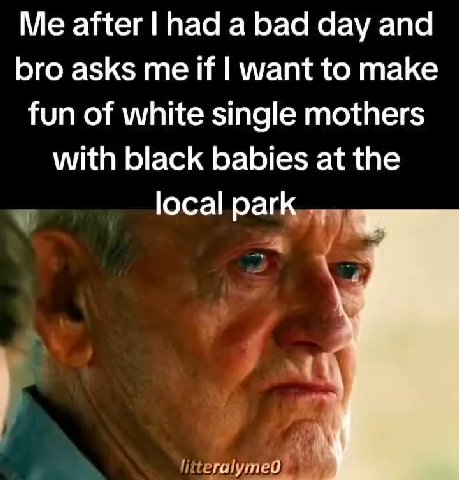 fun of white single mothers with black babies at the ' local parka.