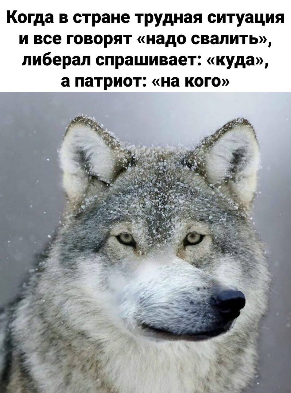 Когда в стране трудная ситуация и все говорят «надо свалить», либерал спрашивает: «куда», а патриот: «на кого»