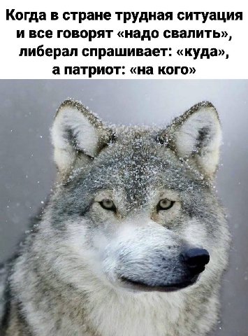 Когда в стране трудная ситуация и все говорят «надо свалить», либерал спрашивает: «куда», а патриот: «на кого»
