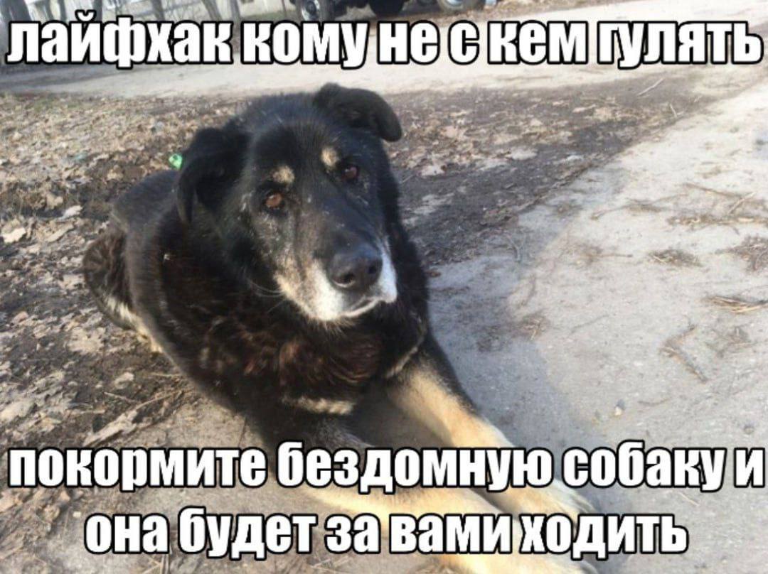 Я к navi фхак KOM -2 4 ste А» 4. 4 at) bar wee we a a? соба поко ную рмите бездо weet “a она будет завамиходи