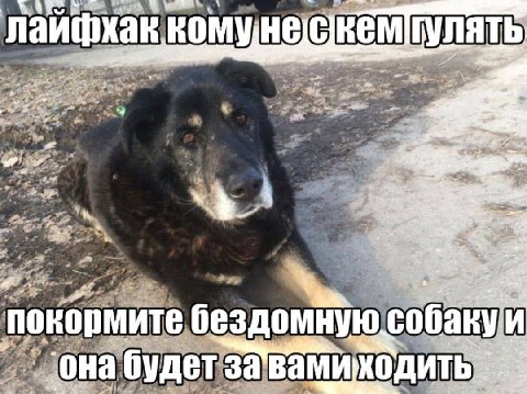 Я к navi фхак KOM -2 4 ste А» 4. 4 at) bar wee we a a? соба поко ную рмите бездо weet “a она будет завамиходи