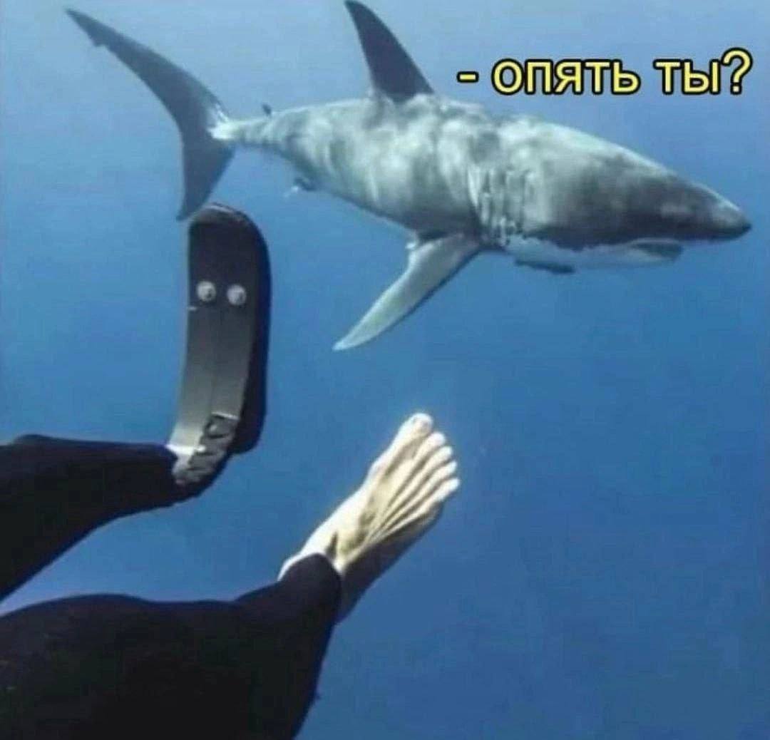 опять ты?