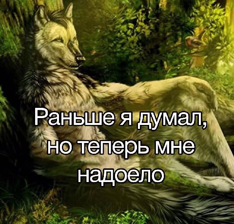 Раныше я думал, но теперь мне надоело
