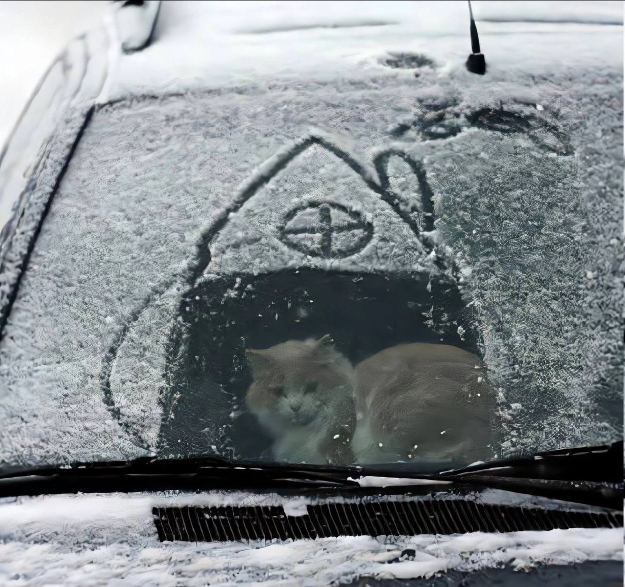a я у 4