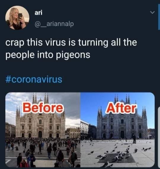 ari crap this virus is turning all the people into pigeons Before