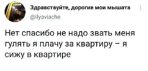 Здравствуйте, дорогие мои мышата @ilyaviache Нет спасибо не надо звать меня гулять я плачу за квартиру я сижу в квартире