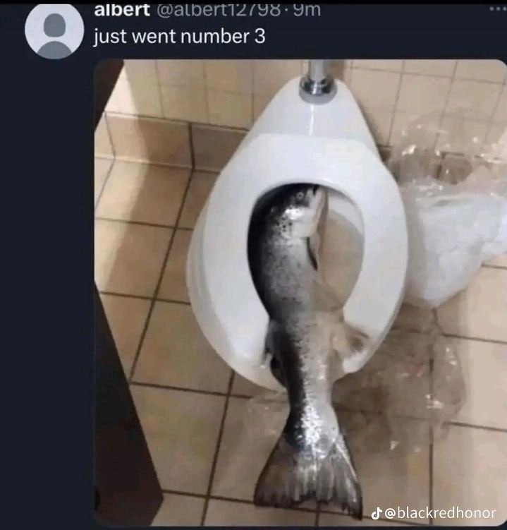 albert just went number 3 #3