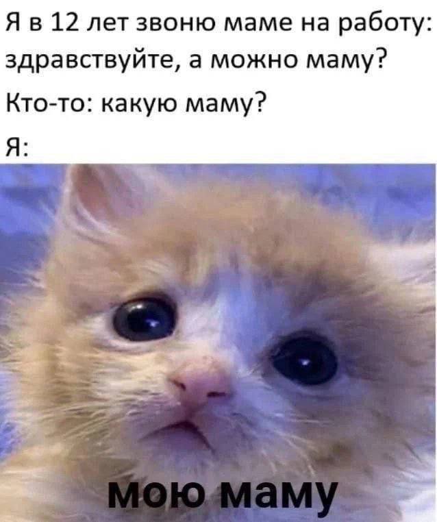 12 лет звоню маме на работу: здравствуйте, а можно маму? Кто-то: какую маму? Я