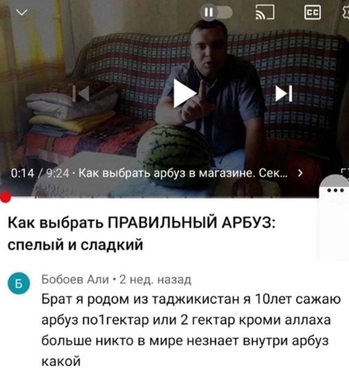 У и 0:14 Как выбрать арбуз в магазине. Как выбрать ПРАВИЛЬНЫЙ АРБУЗ: спелый и сладкий Бобоев Али 2 нед. назад Брат я родом из таджикистан я 10лет сажаю арбуз по1гектар или 2 гектар кроми аллаха больше
