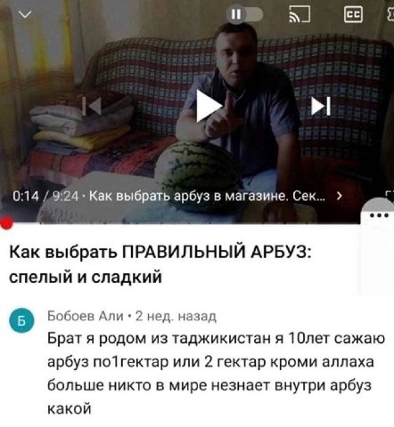 У и 0:14 Как выбрать арбуз в магазине. Как выбрать ПРАВИЛЬНЫЙ АРБУЗ: спелый и сладкий Бобоев Али 2 нед. назад Брат я родом из таджикистан я 10лет сажаю арбуз по1гектар или 2 гектар кроми аллаха больше