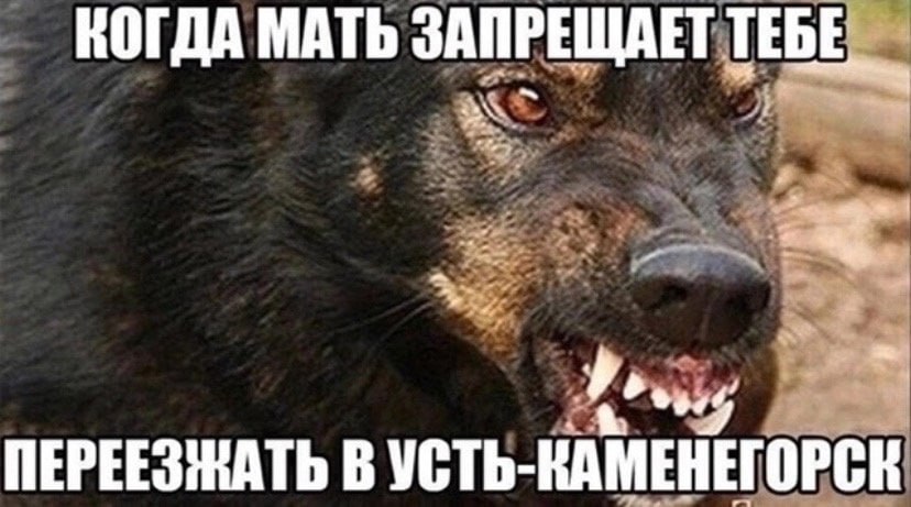 КОГДА МАТЬ ЗАПРЕЩАЕТ TEBE, ПЕРЕЕЗЖАТЬ В УСТЬ-КАМЕНЕГОРСК