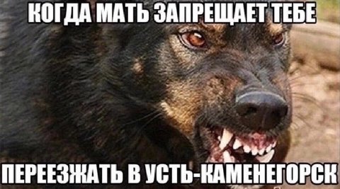 КОГДА МАТЬ ЗАПРЕЩАЕТ TEBE, ПЕРЕЕЗЖАТЬ В УСТЬ-КАМЕНЕГОРСК