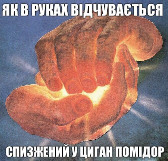 В РУНАХ СПИЗЖЕНИЙ У ЦИГАН ПОМИДОР