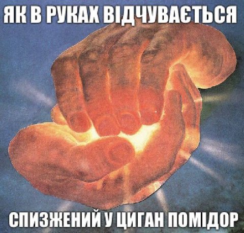 В РУНАХ СПИЗЖЕНИЙ У ЦИГАН ПОМИДОР