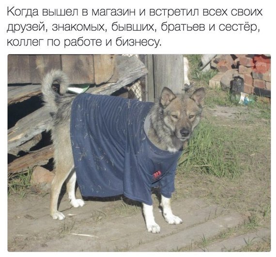 Когда вышел в магазин и встретил всех своих друзей, знакомых, бывших, братьев и сестёр, коллег по работе и бизнесу. rye A