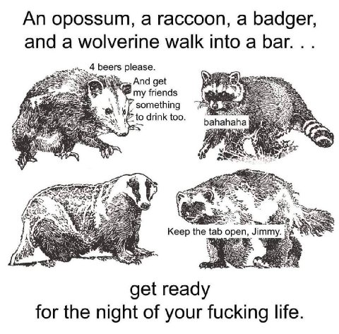An opossum, a raccoon, а badger, and a wolverine walk into a Баг... beers please. And get my friends something drink too. bahahaha Keep the tab 0 get meaty for the night of your fucking life.