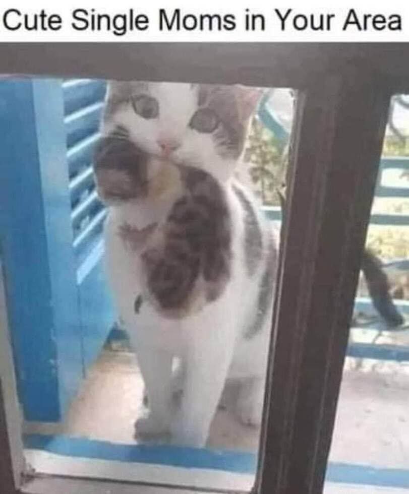 Cute Single Moms in Your Area