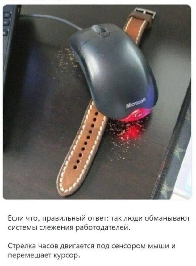у 4: 4 Если что, правильный ответ: так люди обманывают системы слежения работодателей. Стрелка часов двигается под сенсором мыши и перемешает курсор.