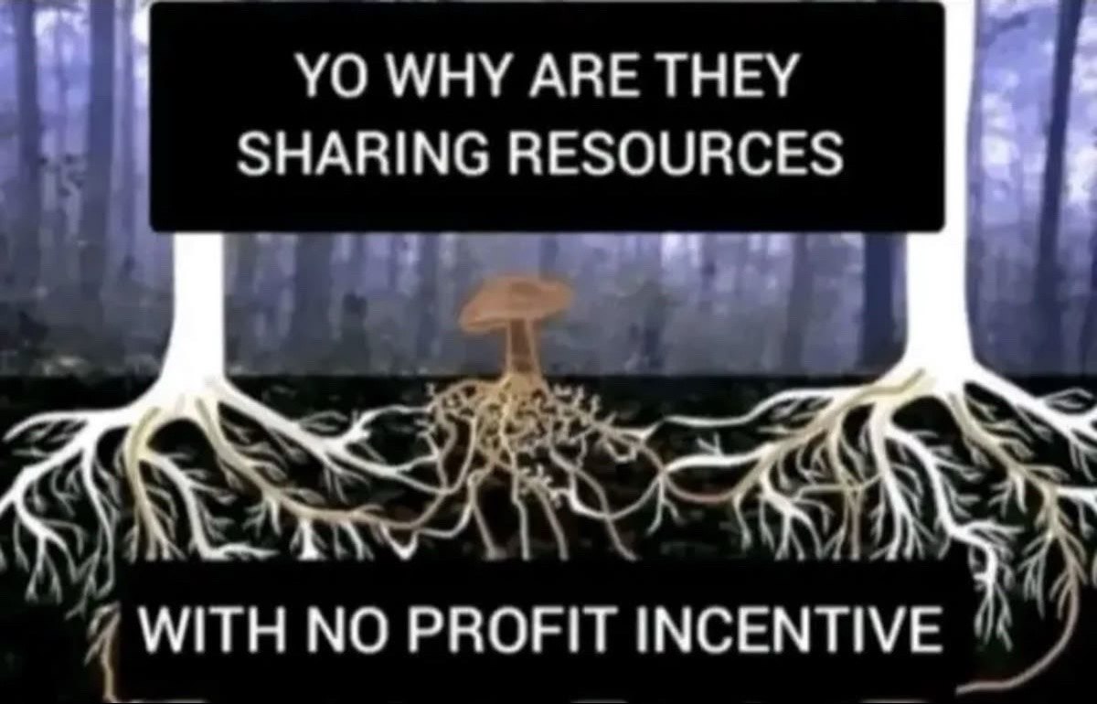 WHY ARE THEY SHARING RESOURCES WITH NO PROFIT INCENTIVE